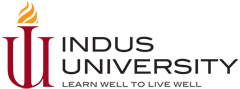 indus university assignment title page